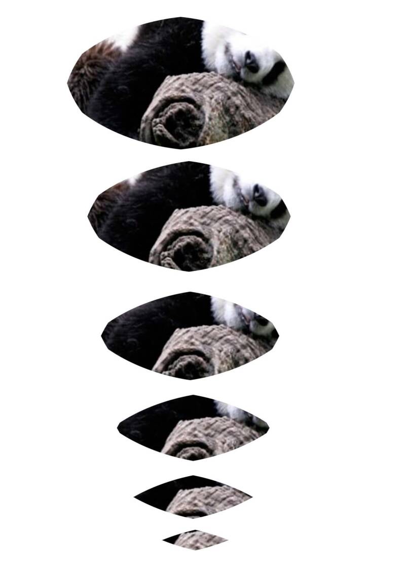 Pandabeer groot deel 3