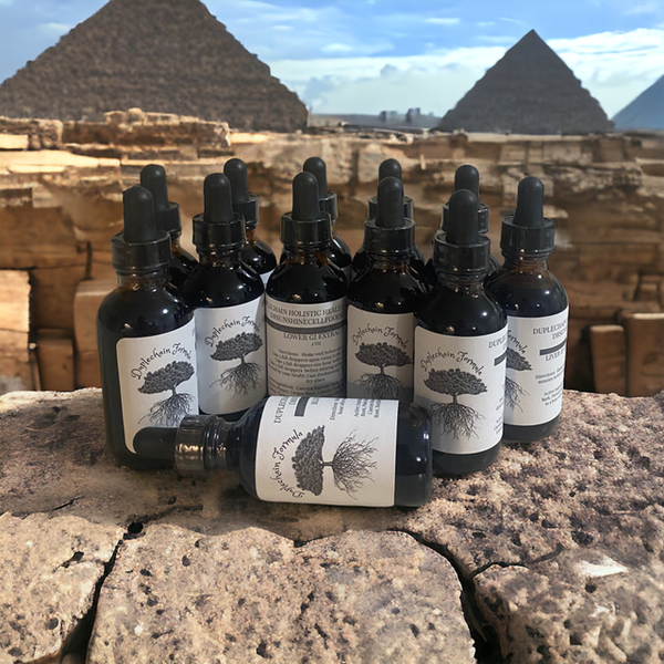 INNER BALANCE 6 THERAPEUTIC PACKAGE