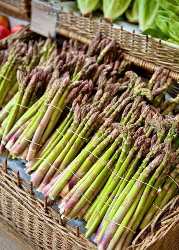 ASPARAGUS SEEDS