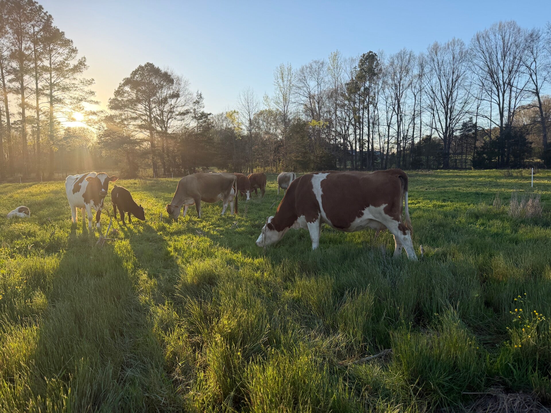 Mountain Creek Ranch