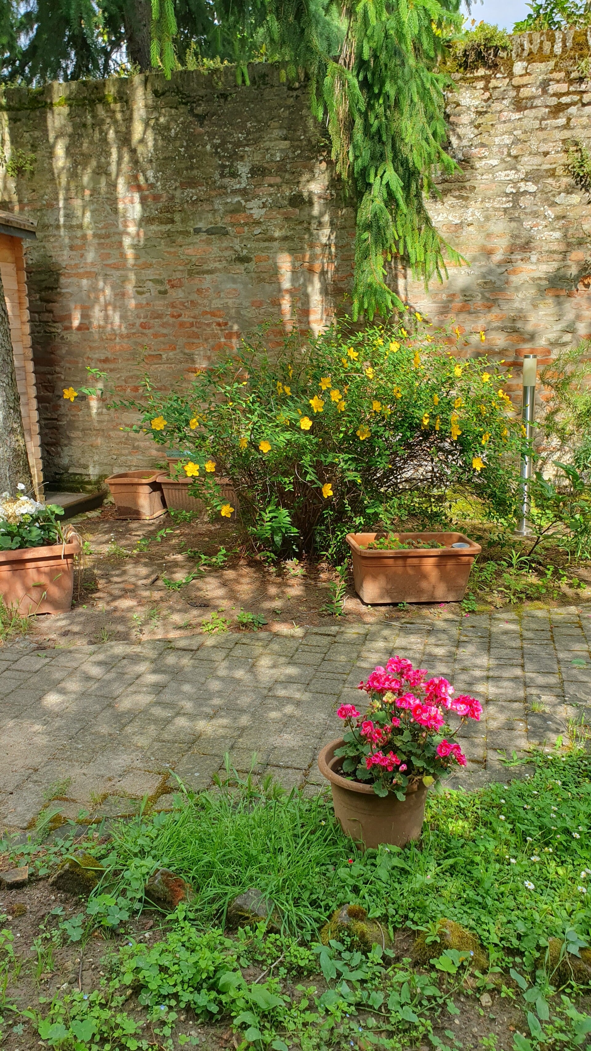 68949-standard.jpg