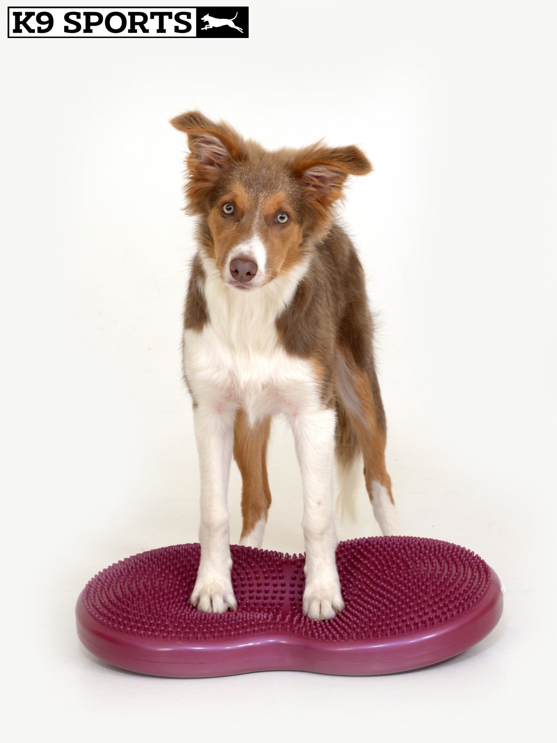 K9 Sports TwinDisc (55x30 cm)