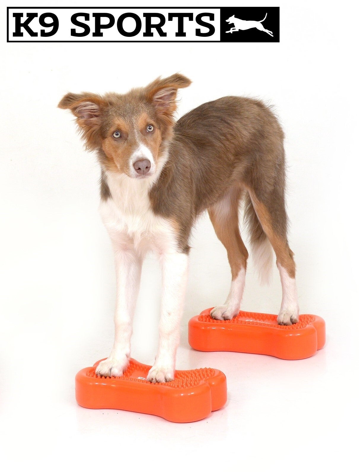 K9 Sports Bones Small (30x17x6,5 cm)