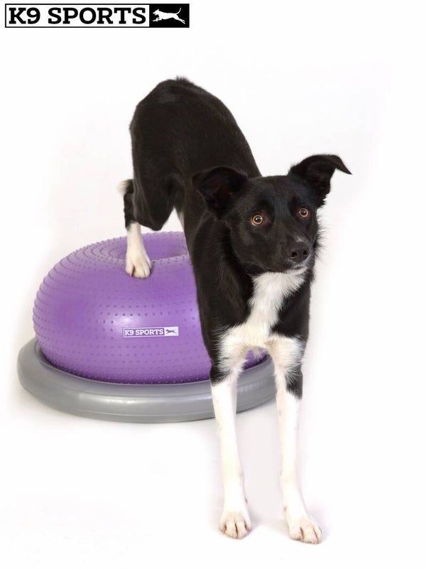 K9 Sports Donut + Halterung