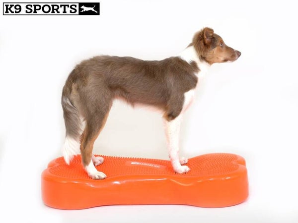 K9 Sports Bone Large (90x38x14 cm)