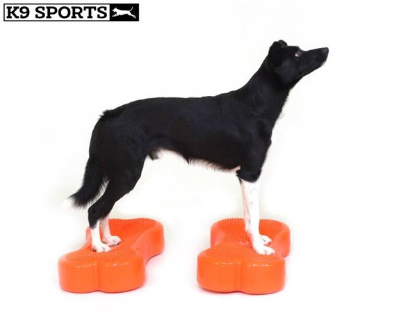 K9 Sports Bone Medium (58x30x10 cm)