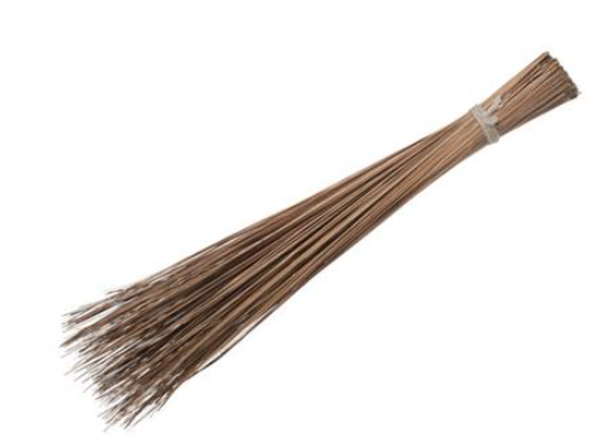 Walis Ting Ting