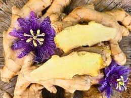 Edible Ginger Plant (started)