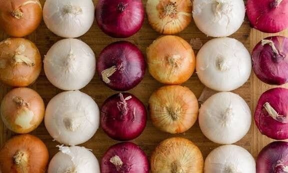 1015 Y, Dixie Sweet, Red Creole Onions (Av January)