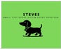 Small Tiny Every Victim Every Survivor-STEVES