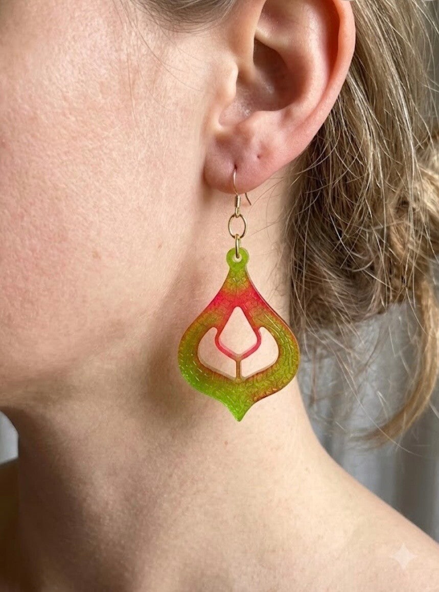 Boucles d’oreilles bicolore