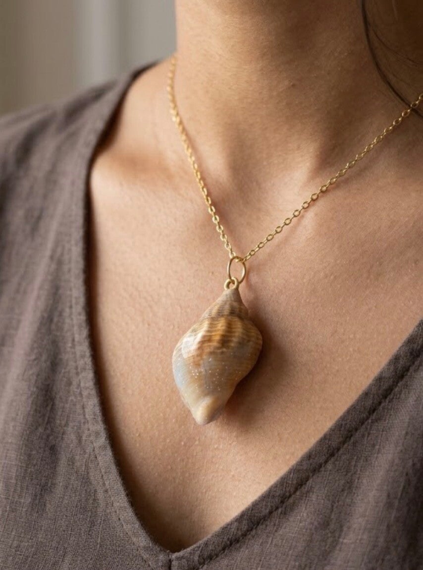 Pendentif coquillages