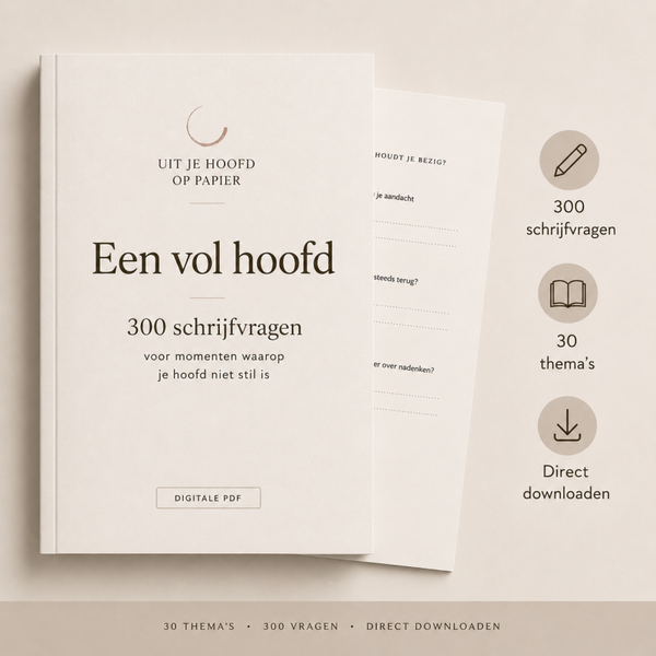 Een vol hoofd – 300 reflectievragen