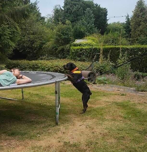 Esme the Rottweiler