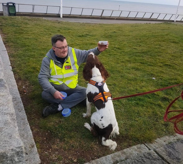 Finn sit indication