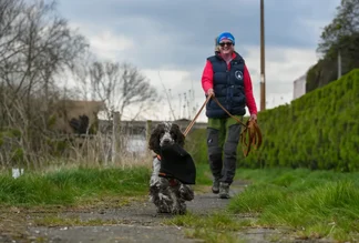 Dog on long line
