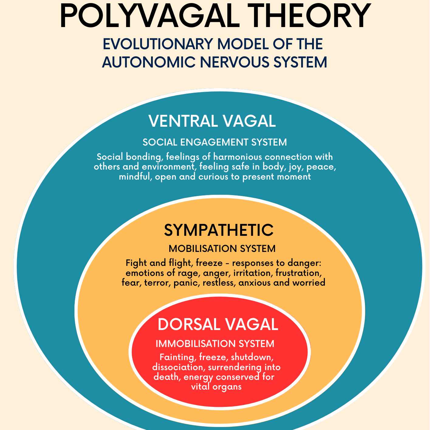 Image: Nervous System states explained yb Polyvagal Theory