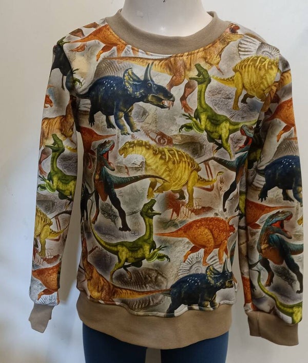 Trui Dino color