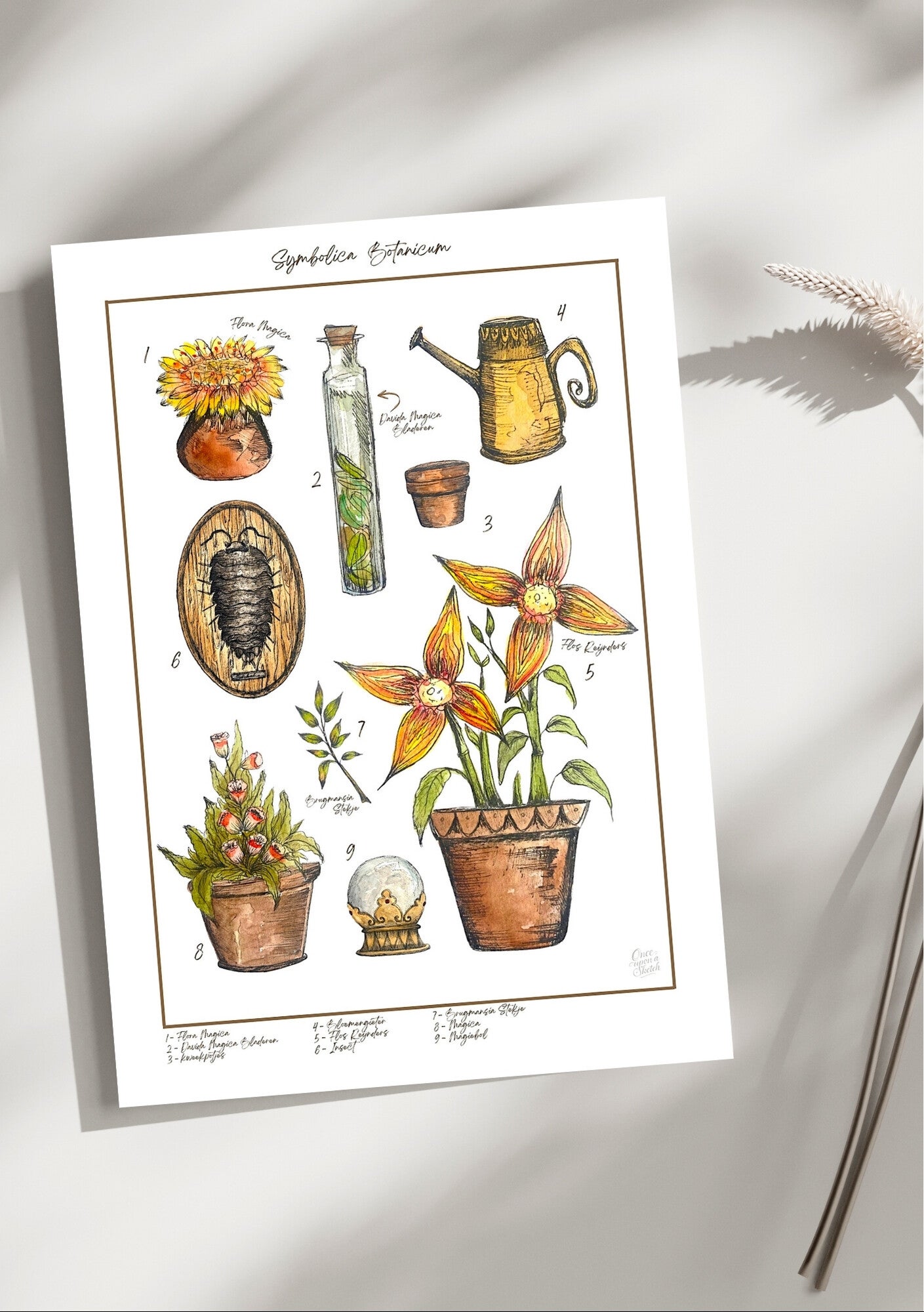 Illustratieprint – Het Botanicum