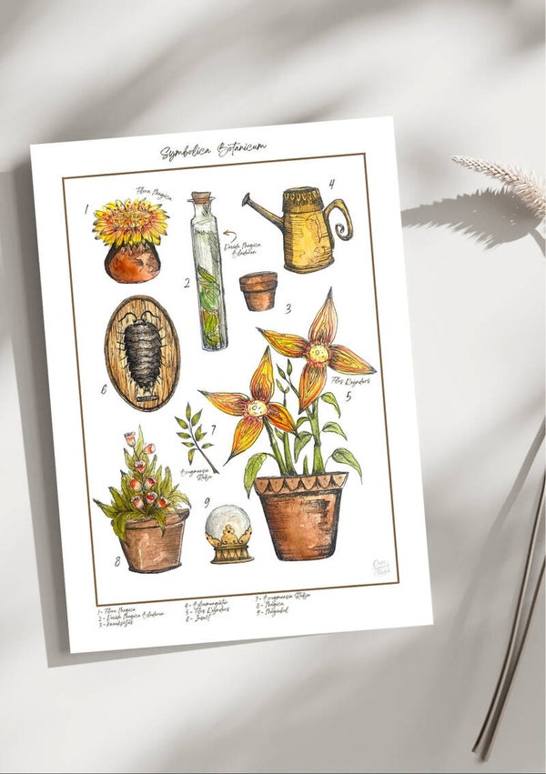 Illustratieprint – Het Botanicum