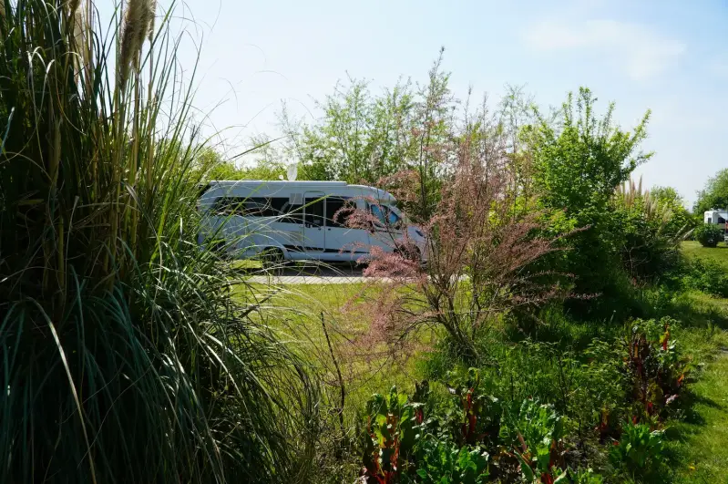 Ruime camperplaatsen middenin de natuur