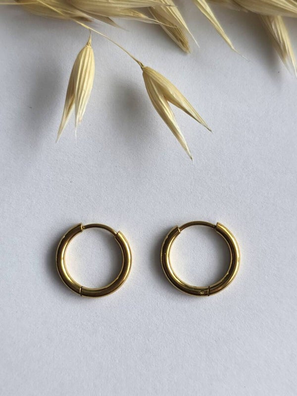 gouden oorringen in chirurgisch rvs, 12mm