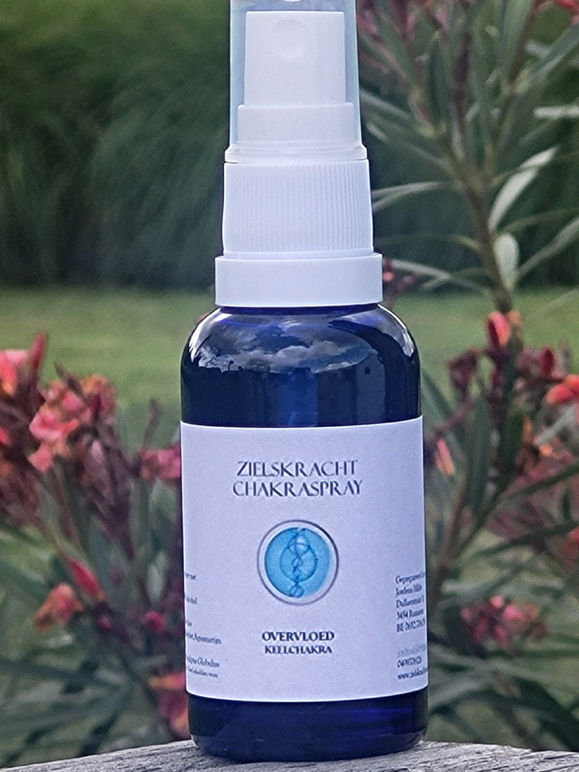 Chakraspray OVERVLOED (keel)