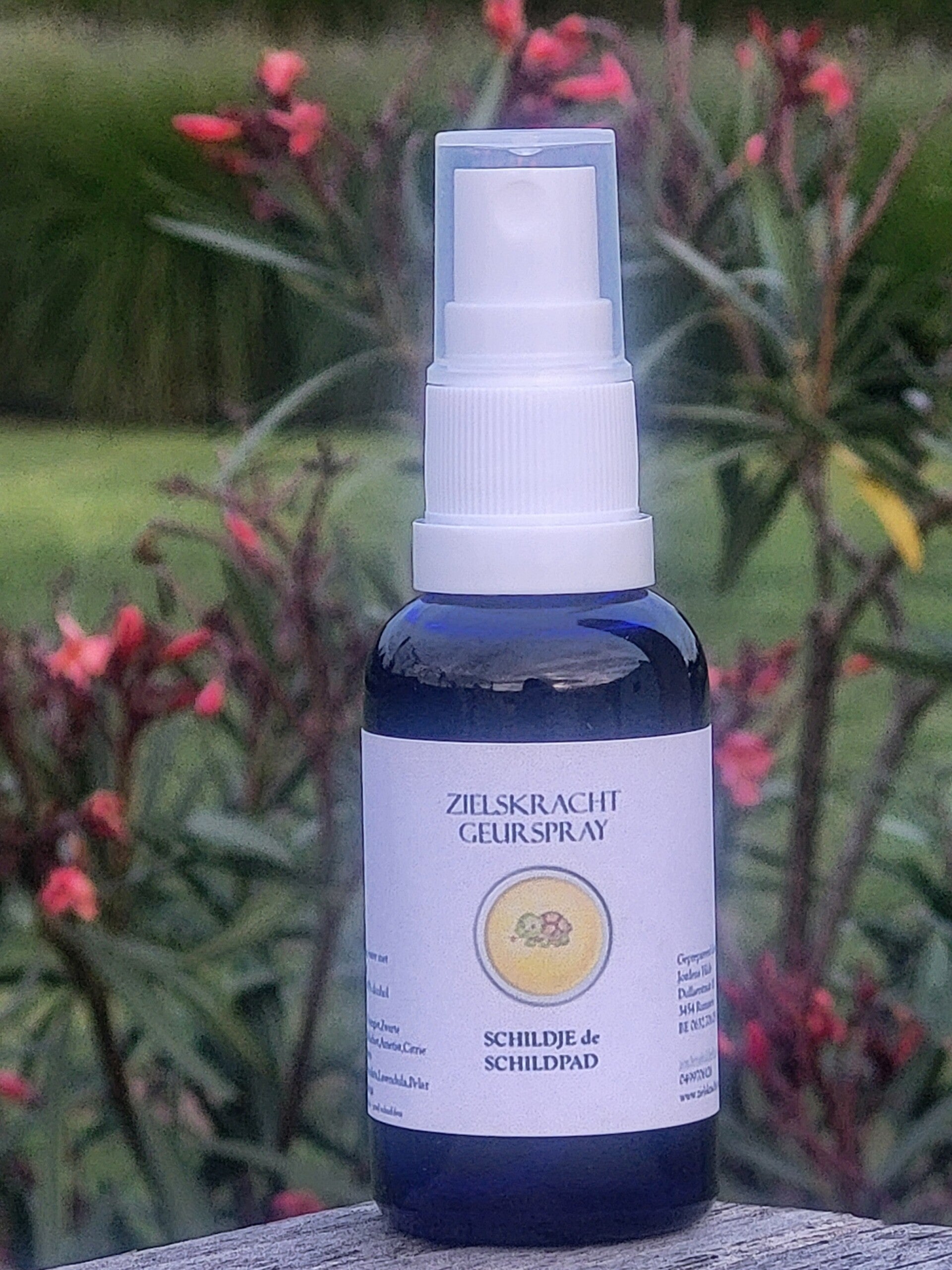 Auraspray SCHILDJE de SCHILDPAD