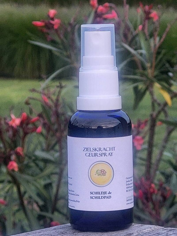 Auraspray SCHILDJE de SCHILDPAD