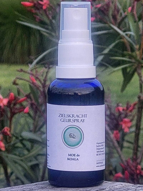Auraspray MOE de KOALA