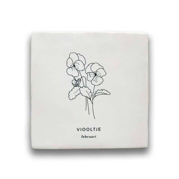 Tegeltje geboortebloem - Februari