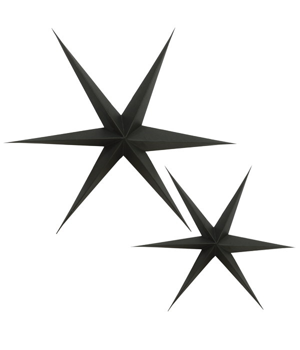 Kerststerren - Black