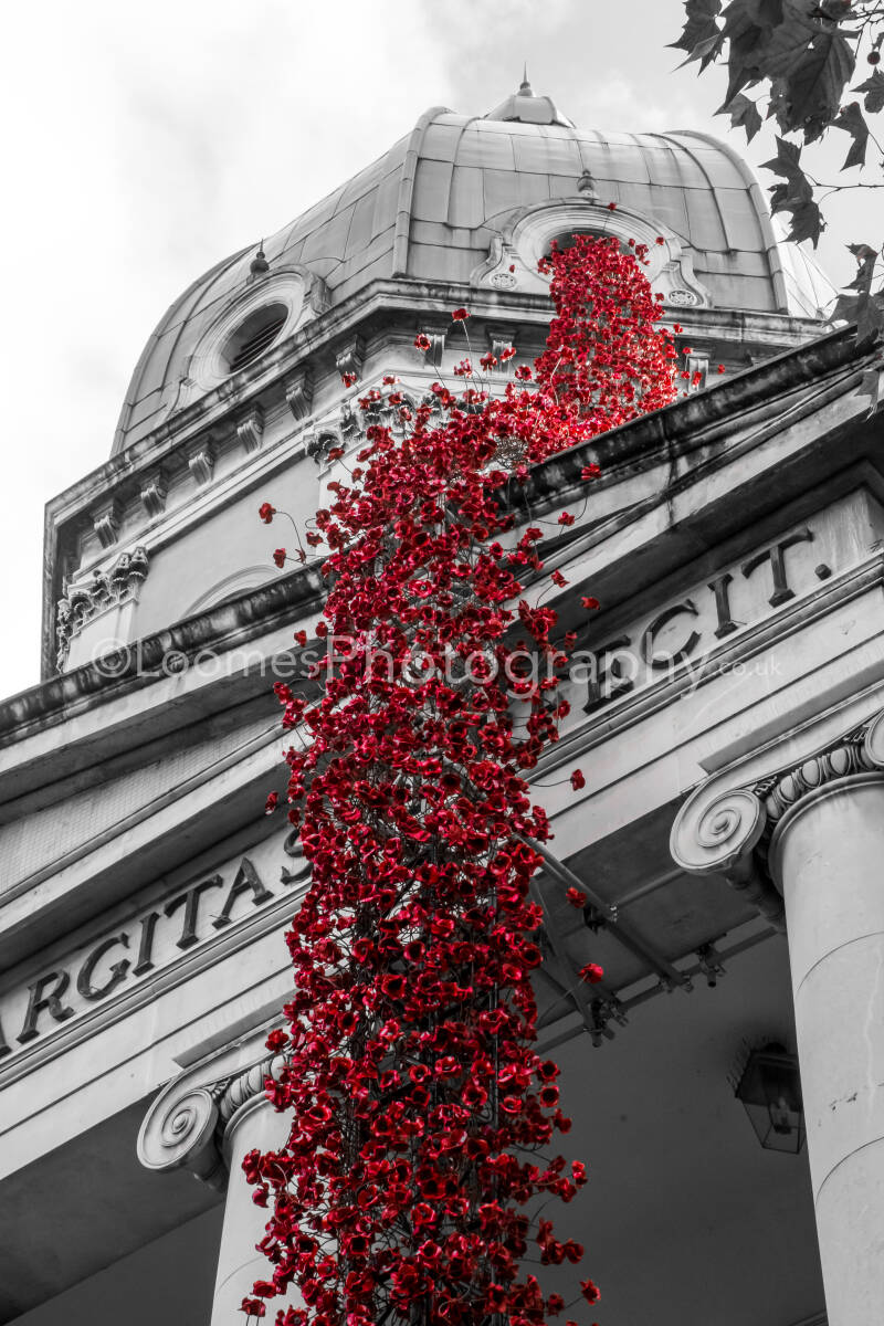 PoppiespouringfromWarMuseumLondon-1.jpg