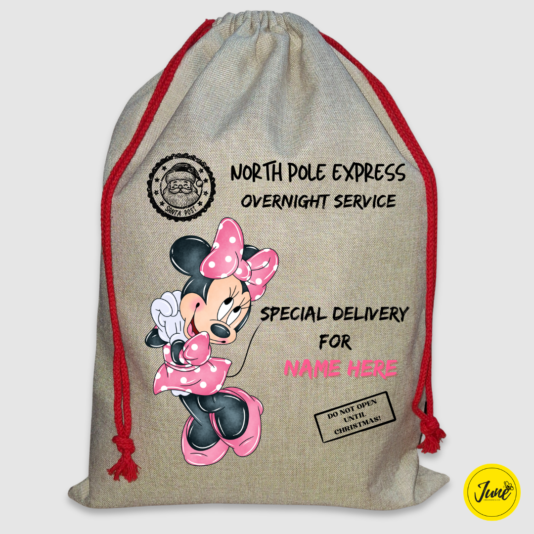 Minnie Mouse's Santa's bag (B)