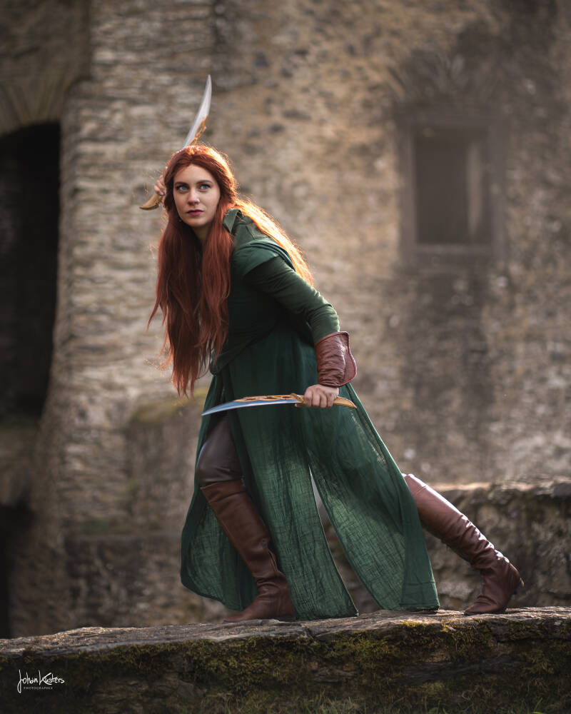 Watervalvogels Artistry