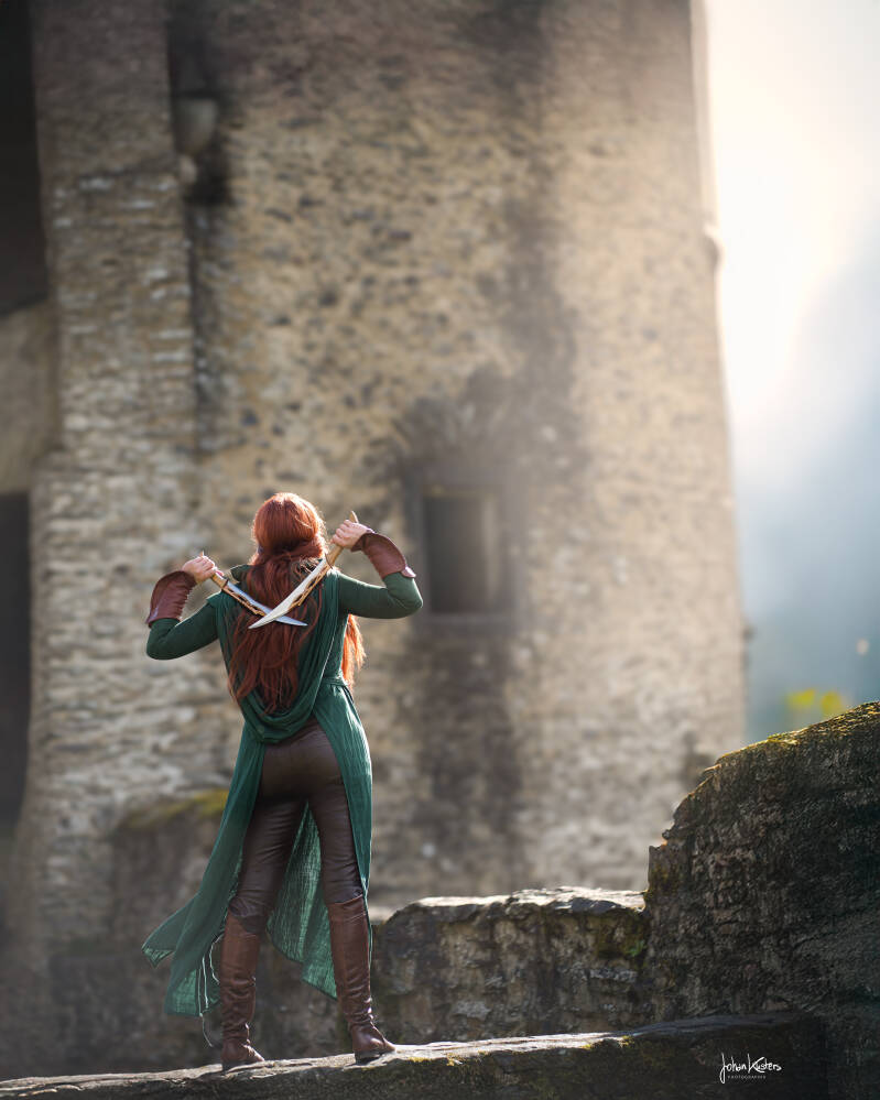 Watervalvogels Artistry