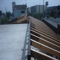 p1040818-standard-yddptm.jpg