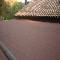 p1050594-standard-8qnx39.jpg