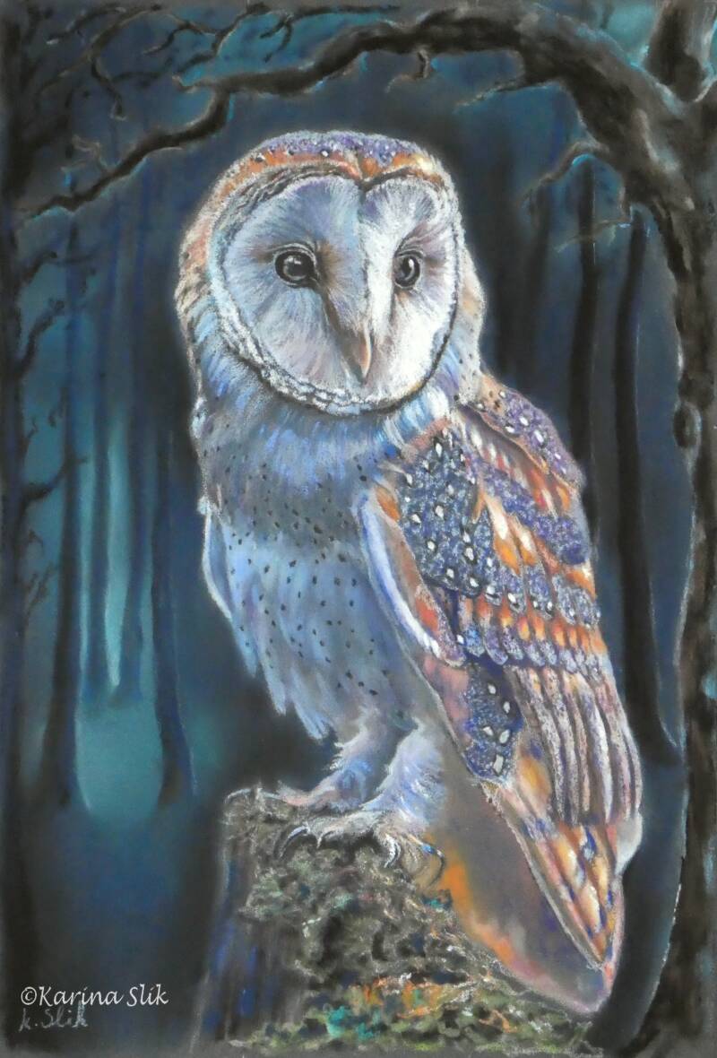 pasteltekening kerkuil