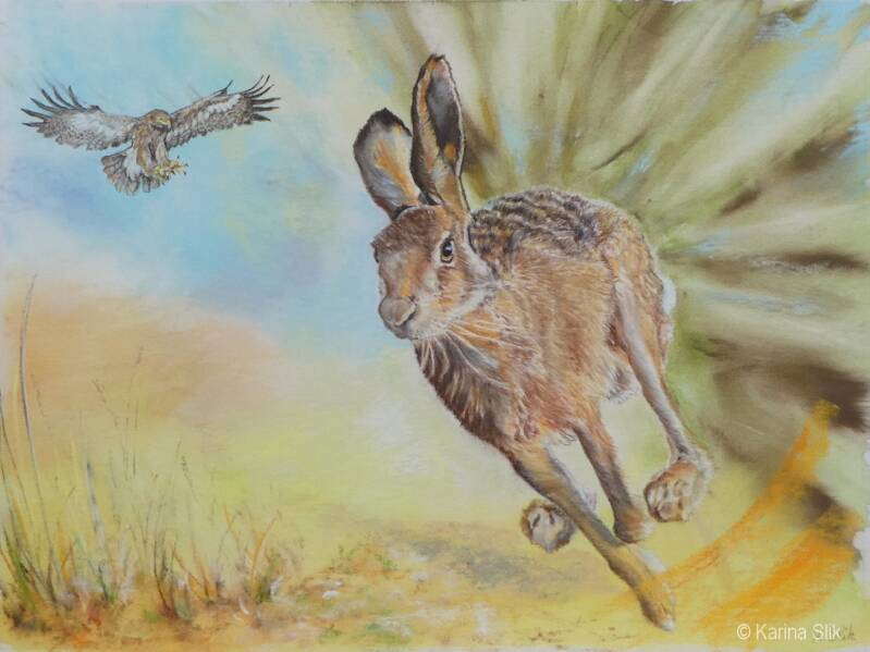 Pasteltekening wegsprintende haas