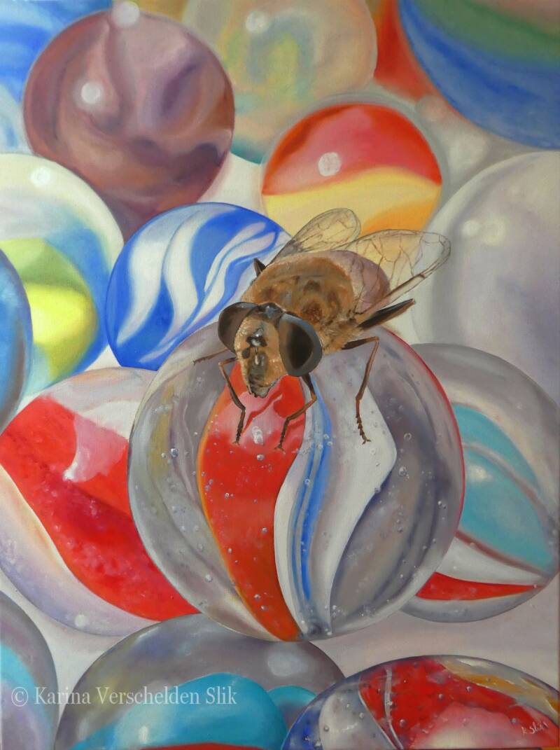 olieverfschilderij van knikkers. Op 1 knikker zit een vlieg