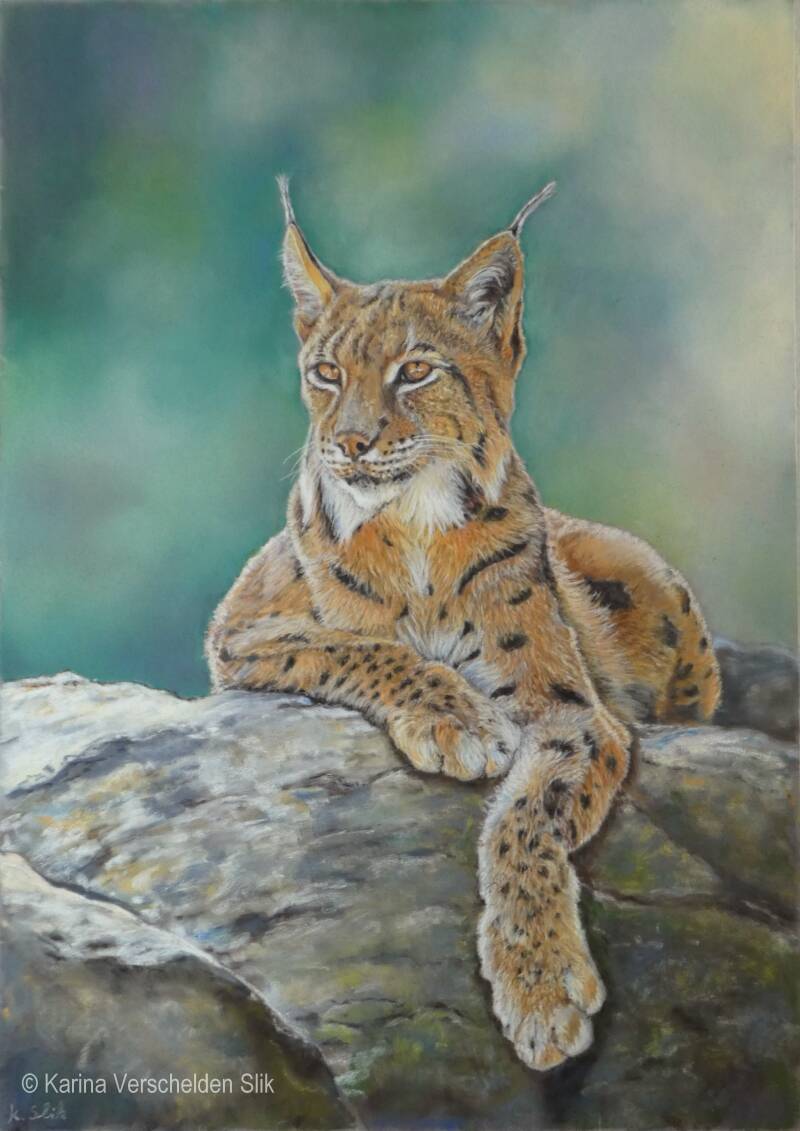 pasteltekening lynx