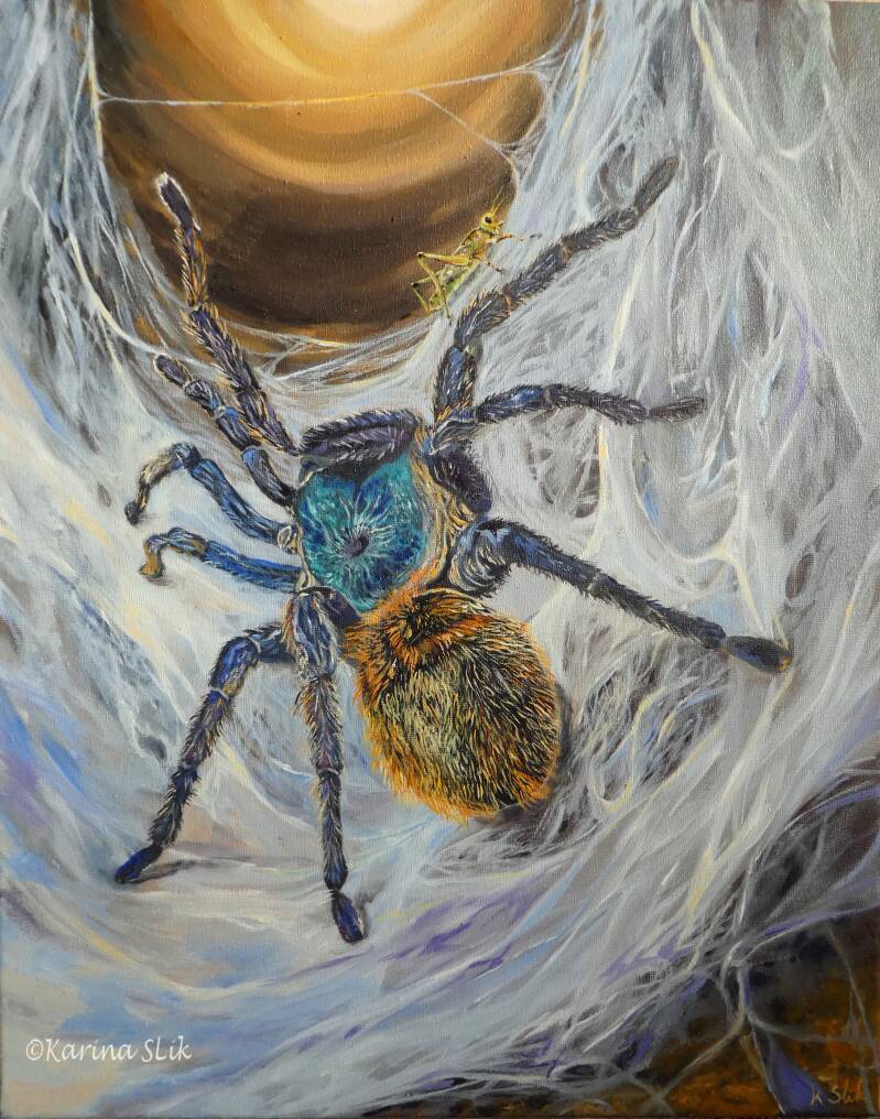 Olieverfschilderij Cyaanblauwe tarentula. 