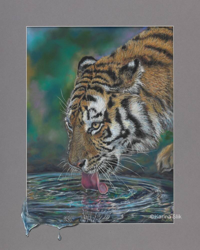 Pasteltekening van een tijger. Drinkend van een overvloedige bron water. 