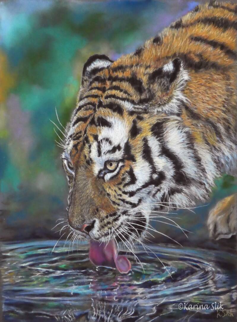 Kunstwerk van een drinkende tijger gemaakt met pastelkrijt