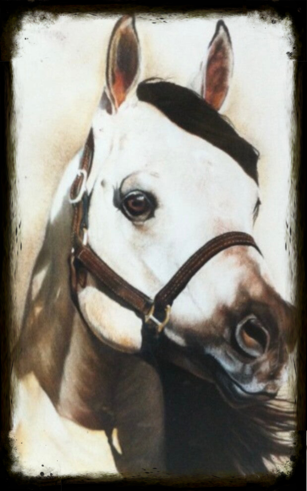 paardenportret in pastelkrijt