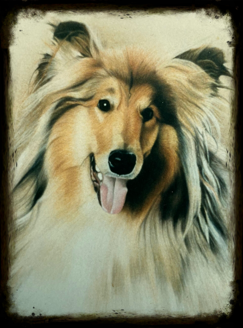 hondenportret in pastelkrijt