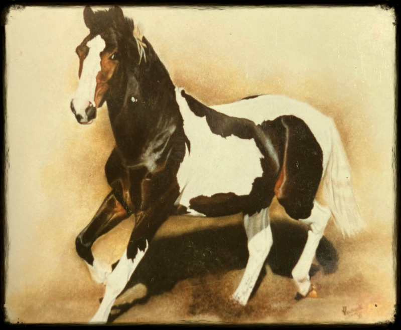 paardenportret in pastelkrijt