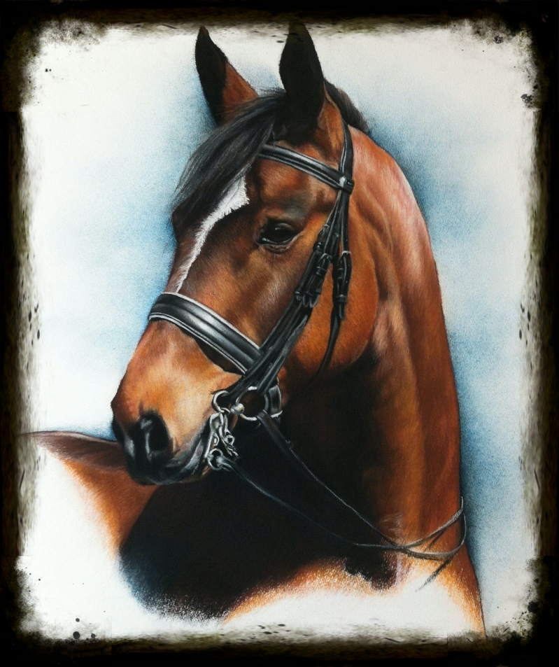 paardenportret in pastelkrijt