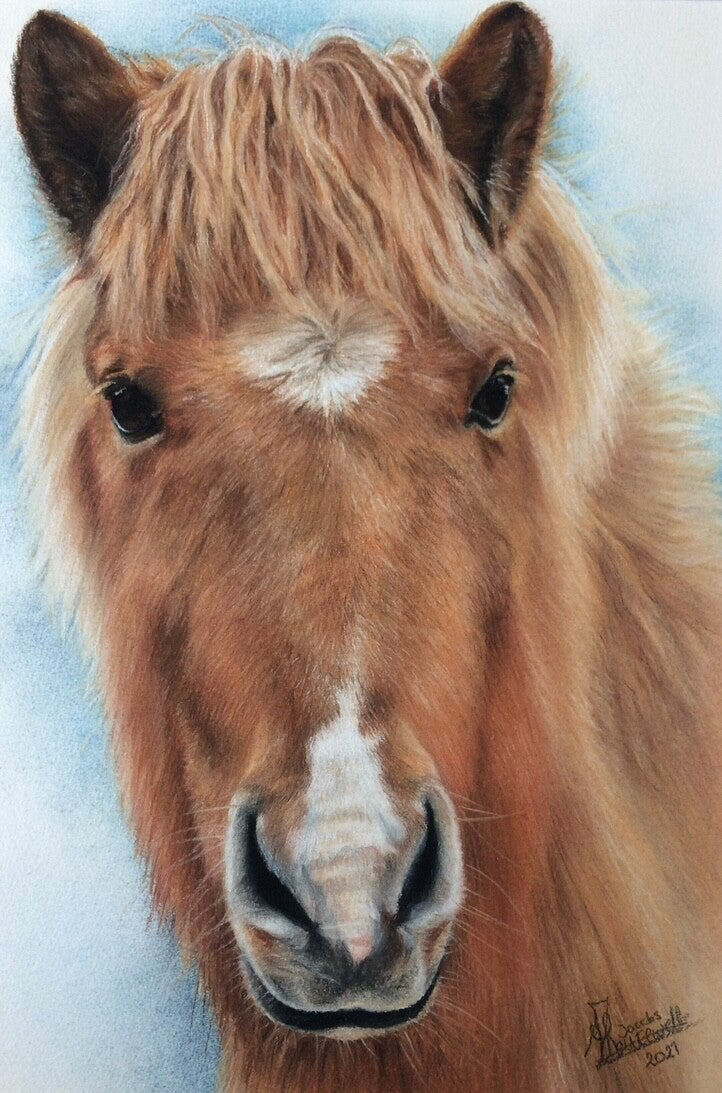 paardenportret in pastelkrijt